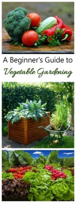  Vegetable Gardening for Beginners: A Practical Guide to Growing Your Own Food 揭開綠色食衣的奧秘，以圖文並茂之姿引領您步入園藝新世界