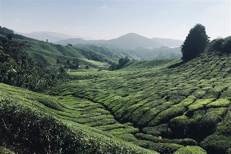  Stories About Malaysia: Unforgettable Encounters - A Visual Tapestry Woven Through Lived Experiences