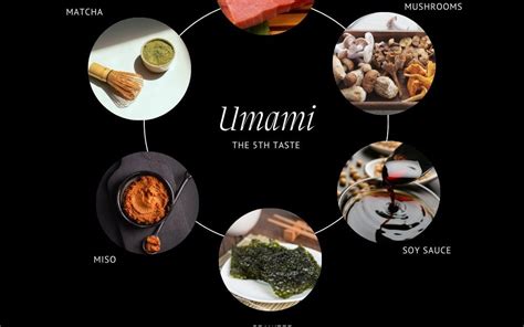  Understanding Spanish Cuisine: “Umami Unbound” Unveils the Essence of Flavor