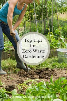  「Zero Waste Gardening」：揭露自然循環的奧秘，為地球打造永續綠洲！